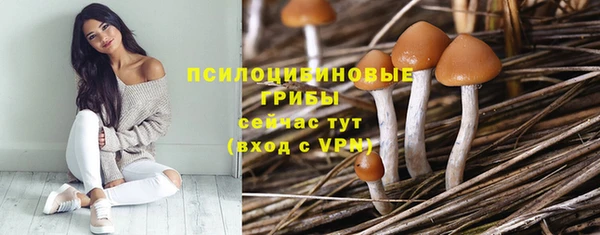 твердый Баксан