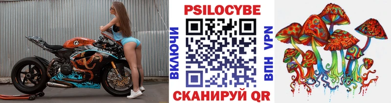 Галлюциногенные грибы Psilocybe  купить закладку  Семилуки 